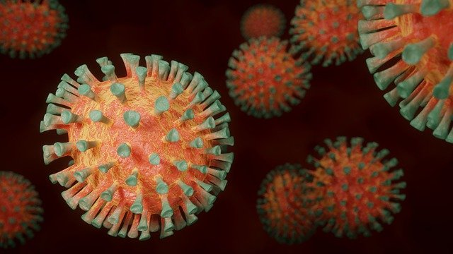 Broj novozaraženih korona virusom na dnevnom nivou minimalan