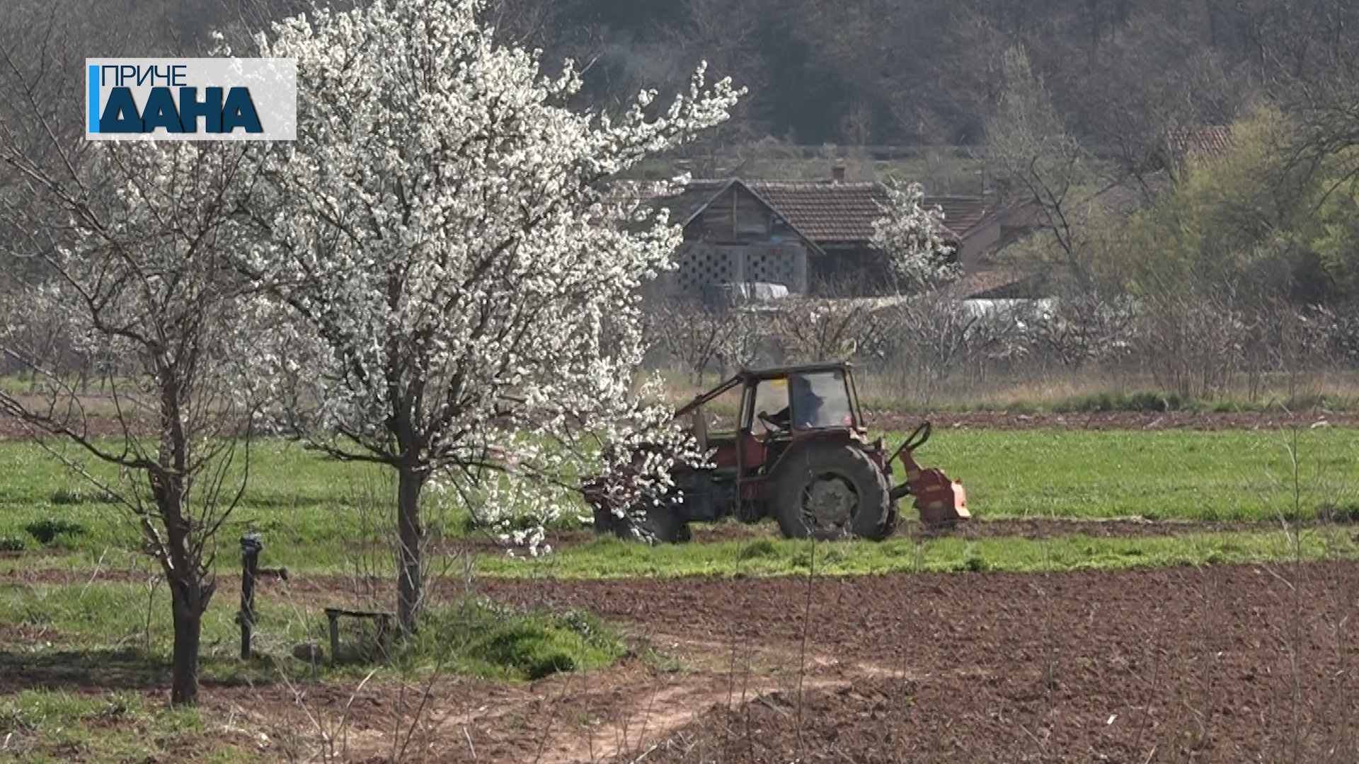 Opština Paraćin daje u zakup oko 370 hektara poljoprivrednog zemljišta