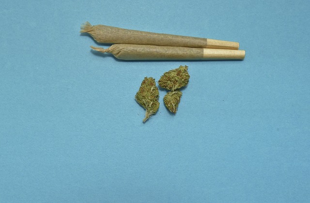 Kod M. Ć. (1985) i N. Đ. (1975) iz Zaječara pronađeno 920 g marihuane