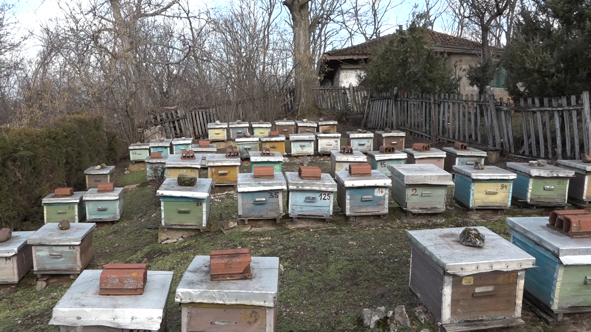 Pčelarstvo zimi