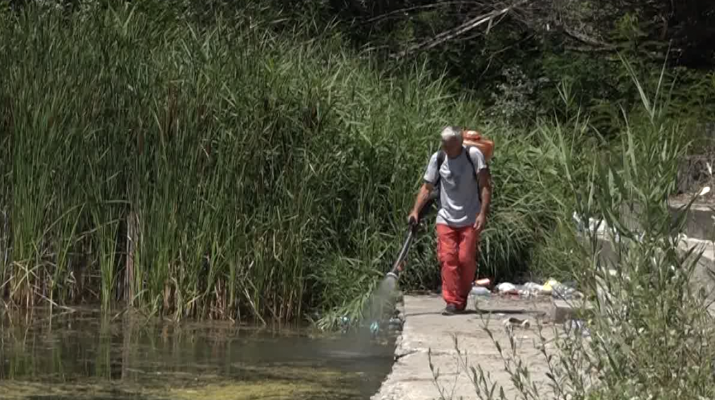 Akcija suzbijanja larvi komaraca u Paraćinu
