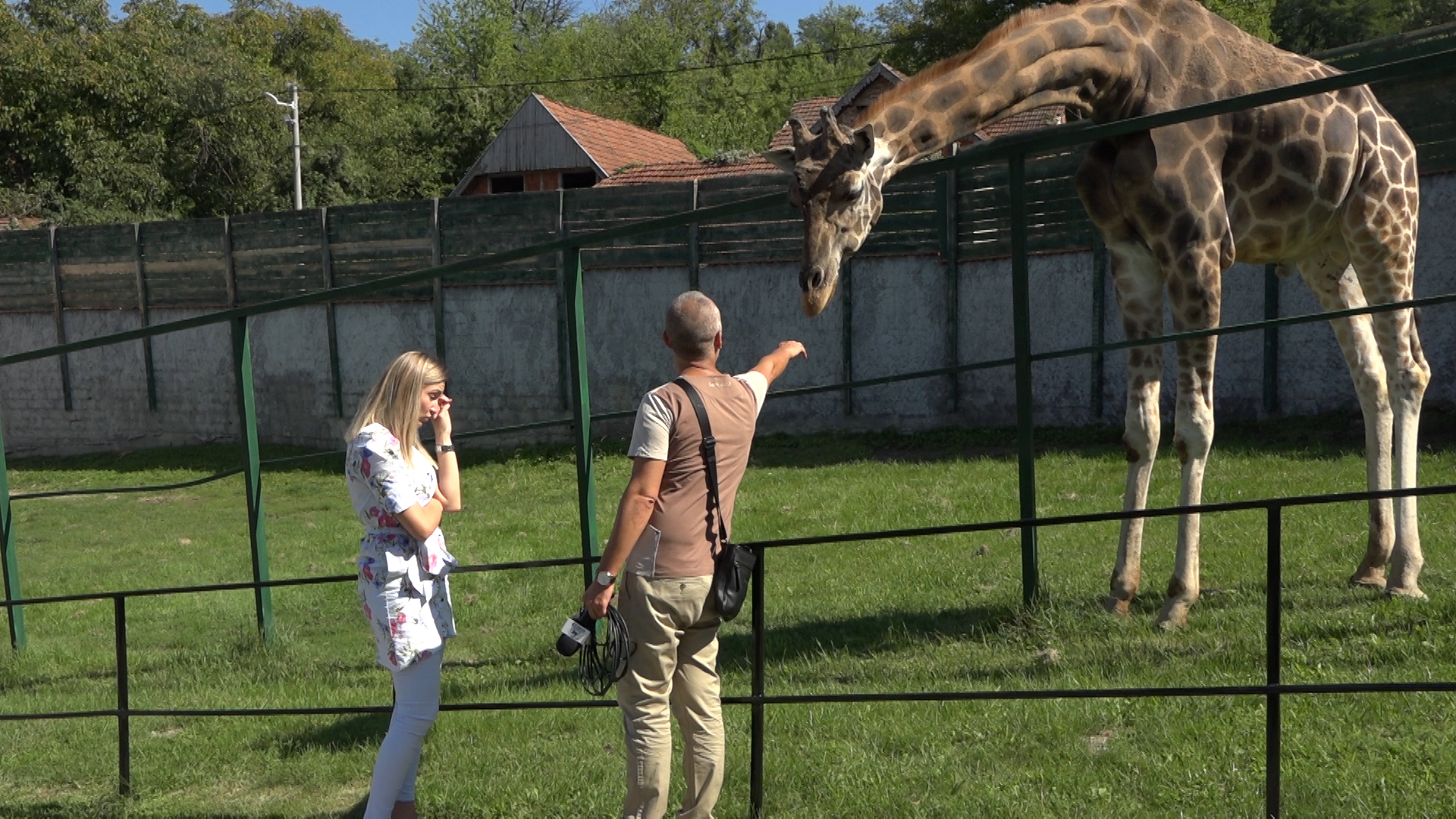 Zaštitni znak ZOO vrta Jagodina – žirafa Jovanča