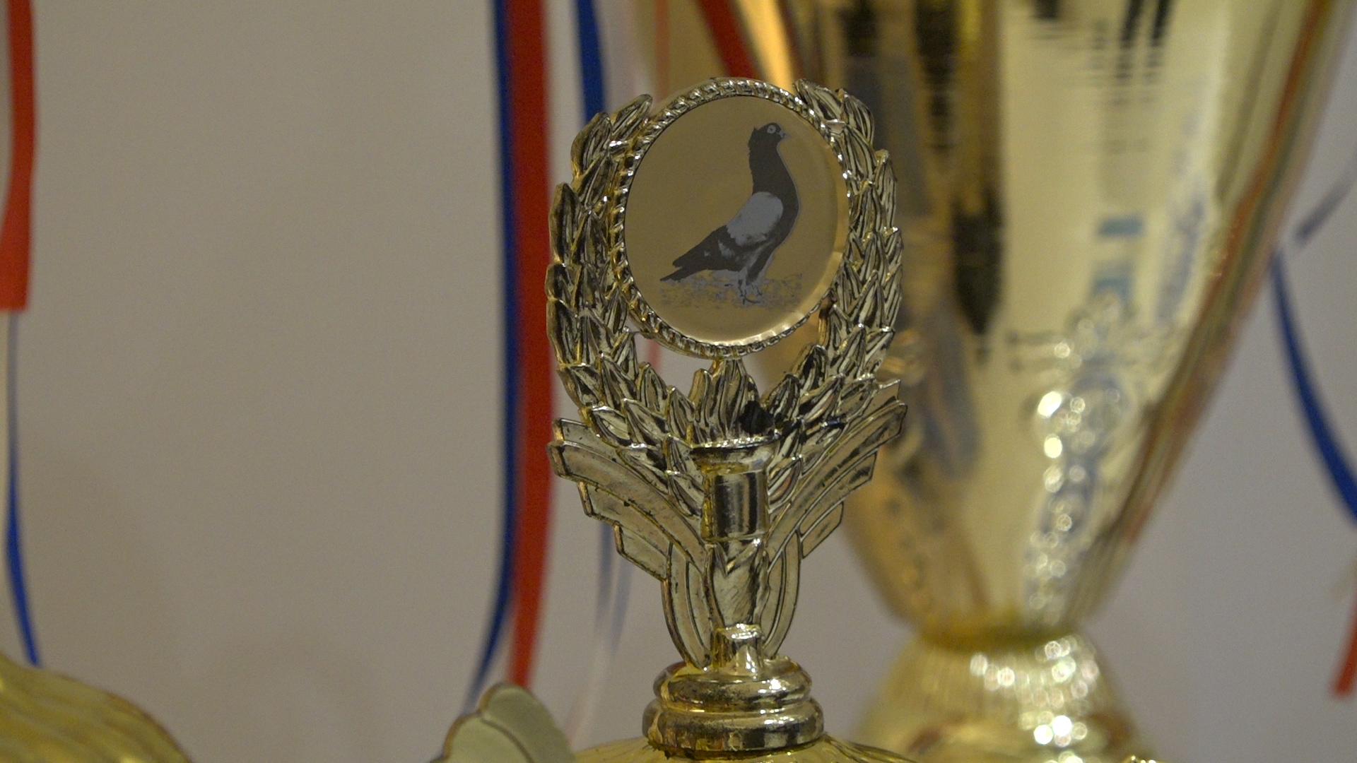 Savez golubara dodeljuje nagrade članovima