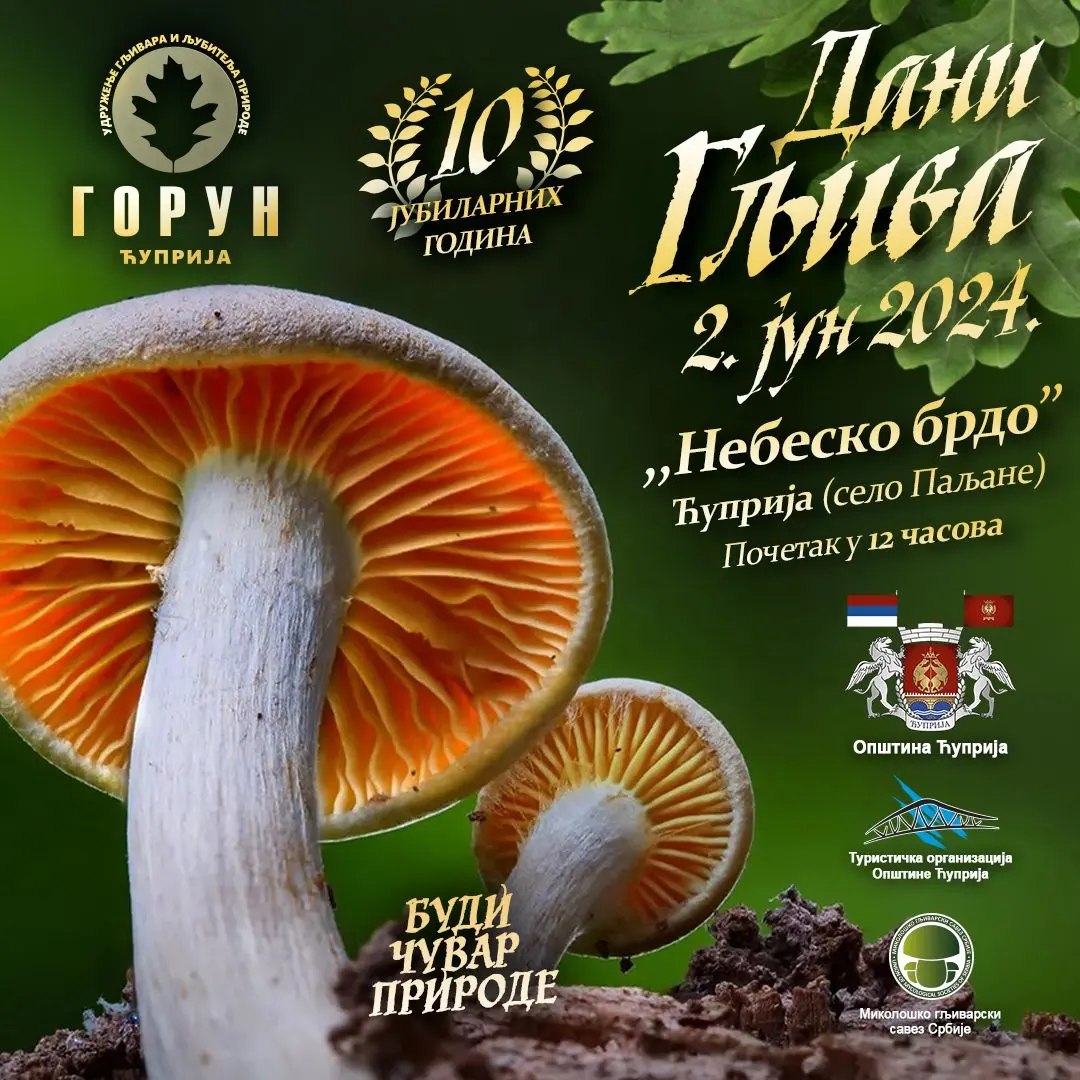 Dani gljiva ovog vikenda u organizaciji Udruženja gljivara “Gorun” iz Ćuprije