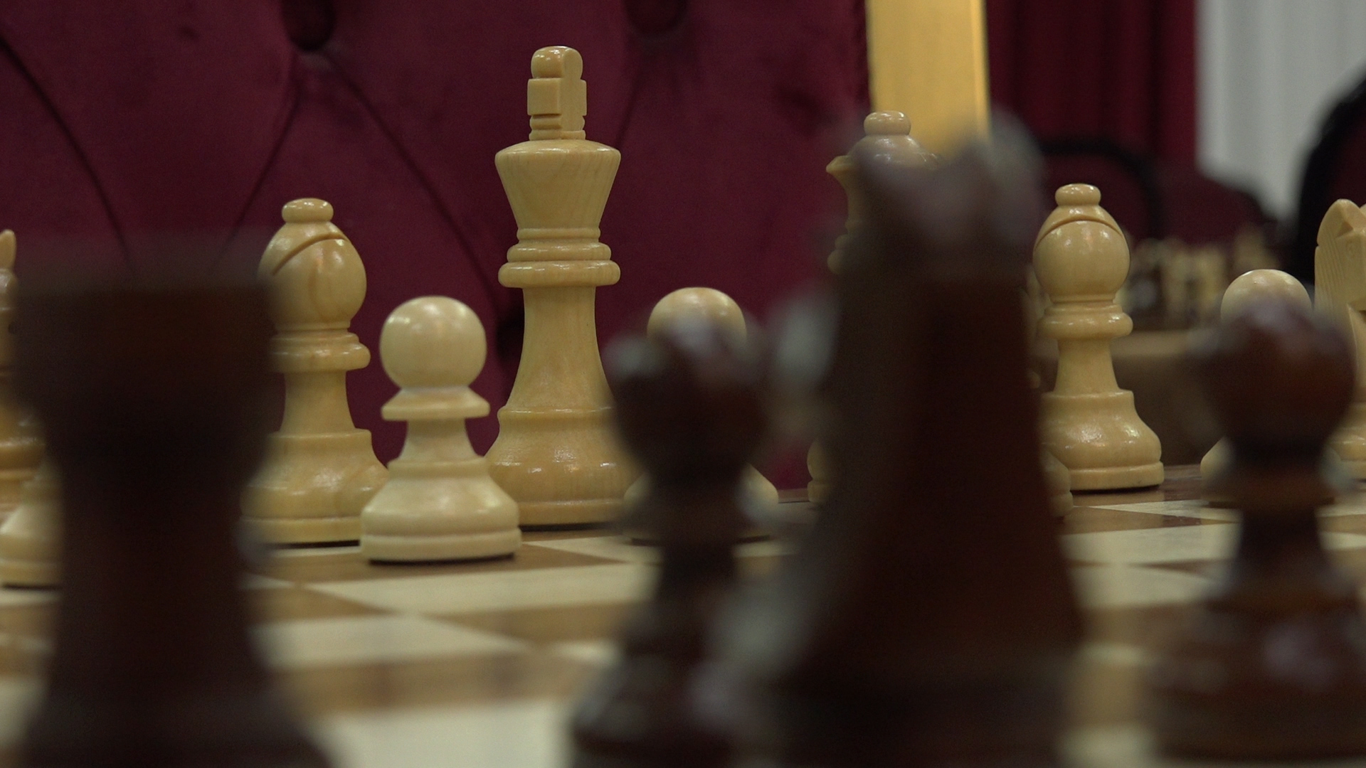 Otvoren 3. Festival šaha Šahovskog saveza Srbije