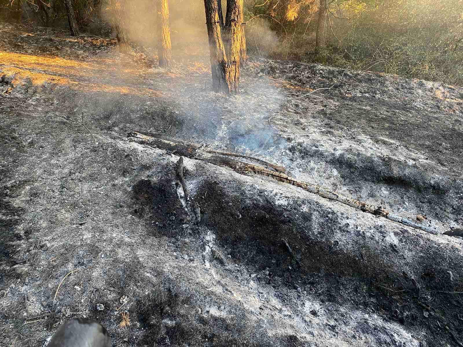 Opštinski štab za vanredne situacije – ne palite vatru i nisko rastinje