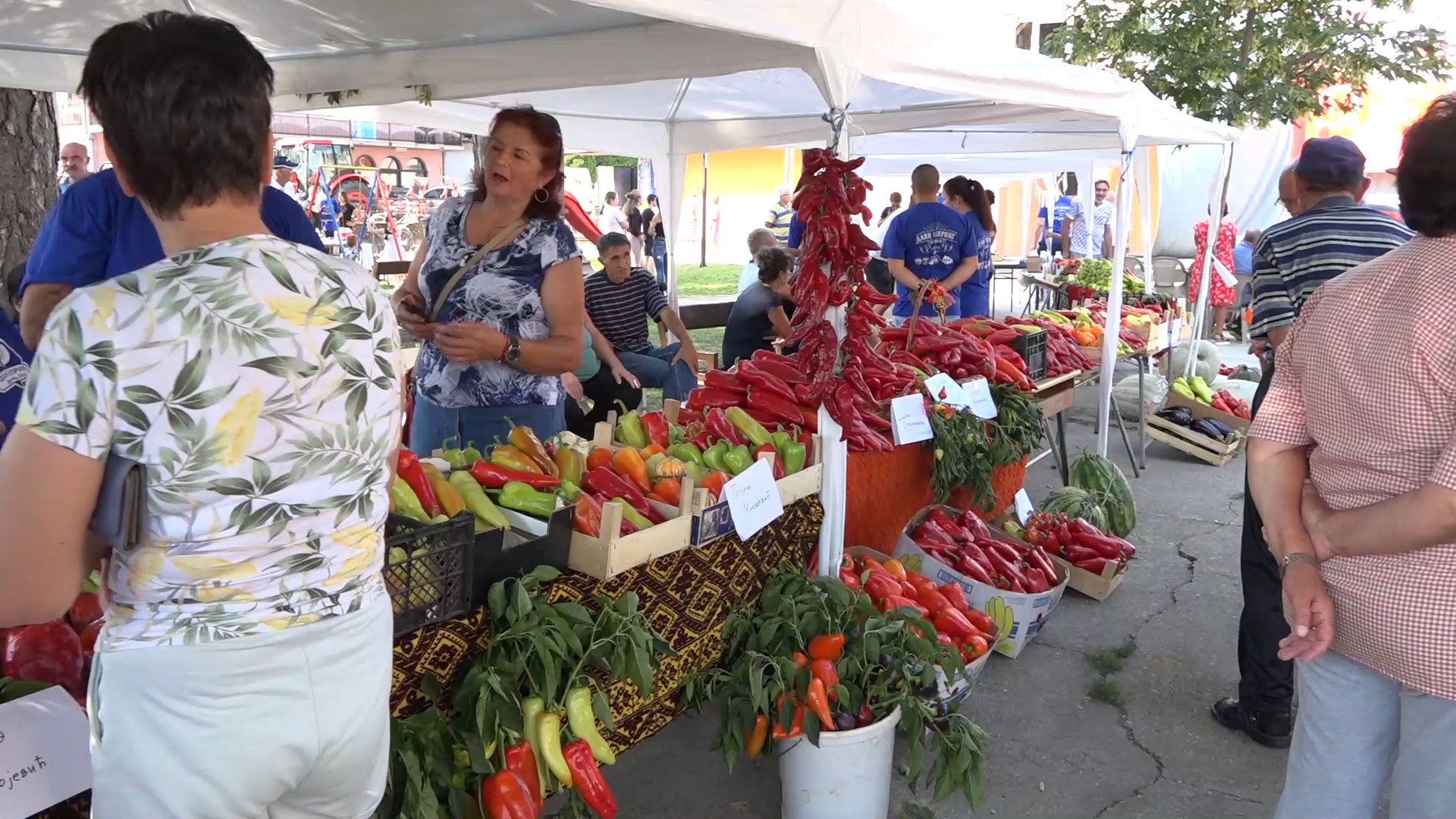 Za kraj avgusta tradicionalni Drenovački dani