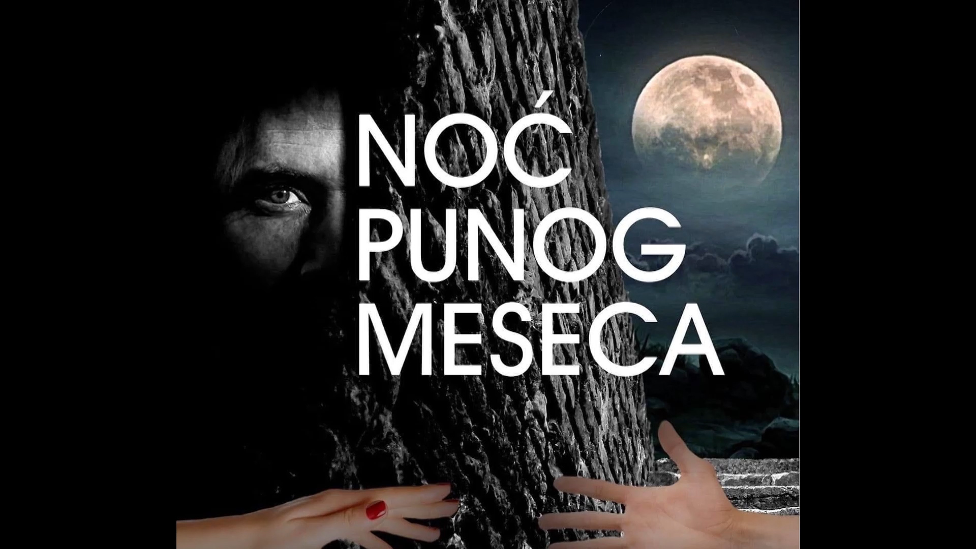 Promocija knjige Novice Markovića „Noć punog meseca“ 4. oktobra u paraćinskom Pozorištu