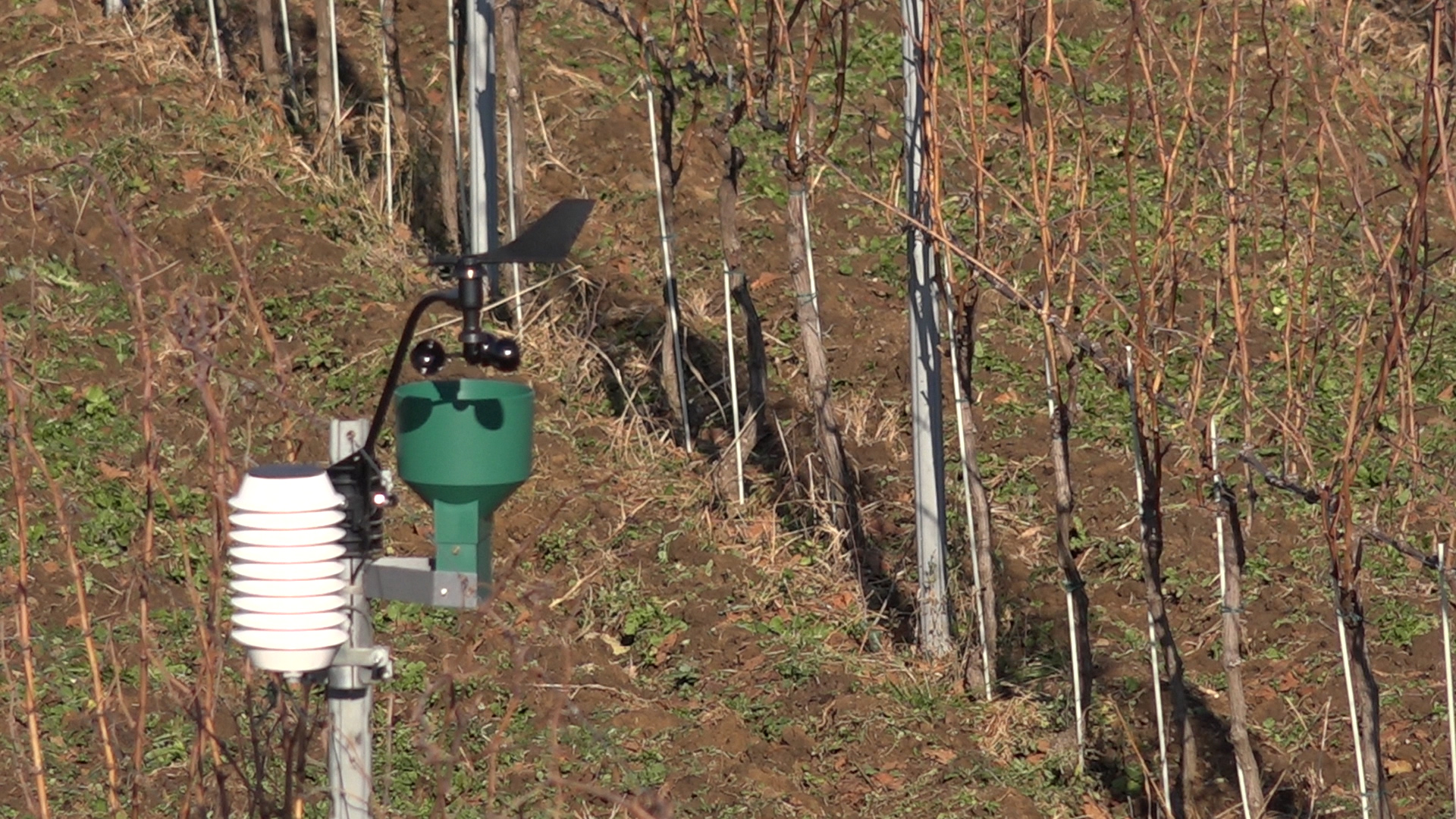 UNECOOP – projekat „Uticaj klimatskih promena na poljoprivredu i vinogradarstvo“ (VIDEO)